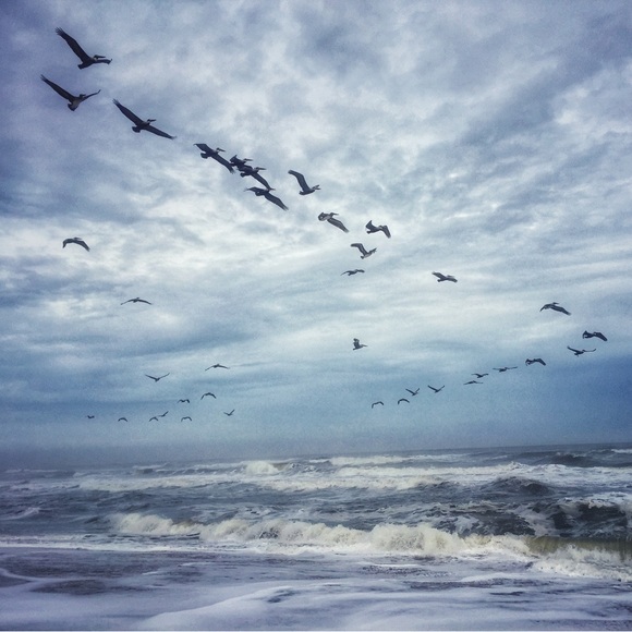 Meet your Posher, Bethie - Picture 10 of 16